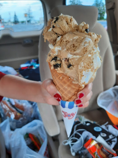 Ice Cream Shop «Blueberry Hill Dairy Bar», reviews and photos, 355 High St, Ellsworth, ME 04605, USA