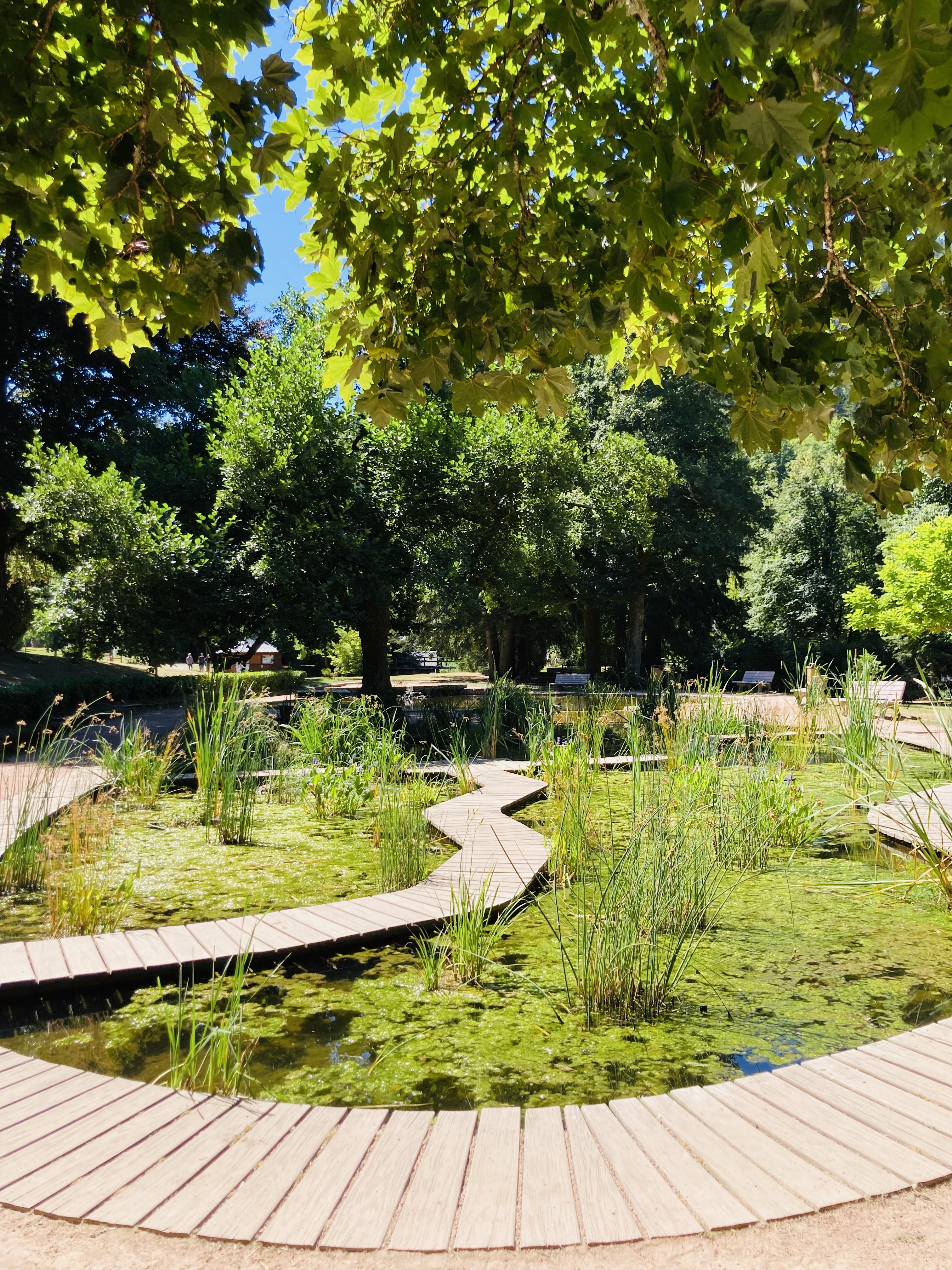 Photo n° 2 de l'avis de Dephine.a fait le 12/08/2022 à 06:28