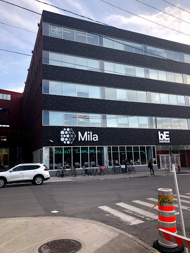 Mila - Quebec AI Institute