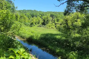 Swiss Valley Nature Preserve and Nature Center image