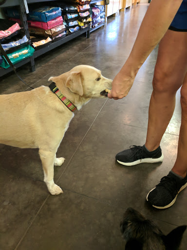 Pet Supply Store «Bow Wow & Meow», reviews and photos, 11607 Maumelle Blvd, North Little Rock, AR 72113, USA