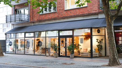 Zenz in Lyngby, Lyngby-Taarbæk