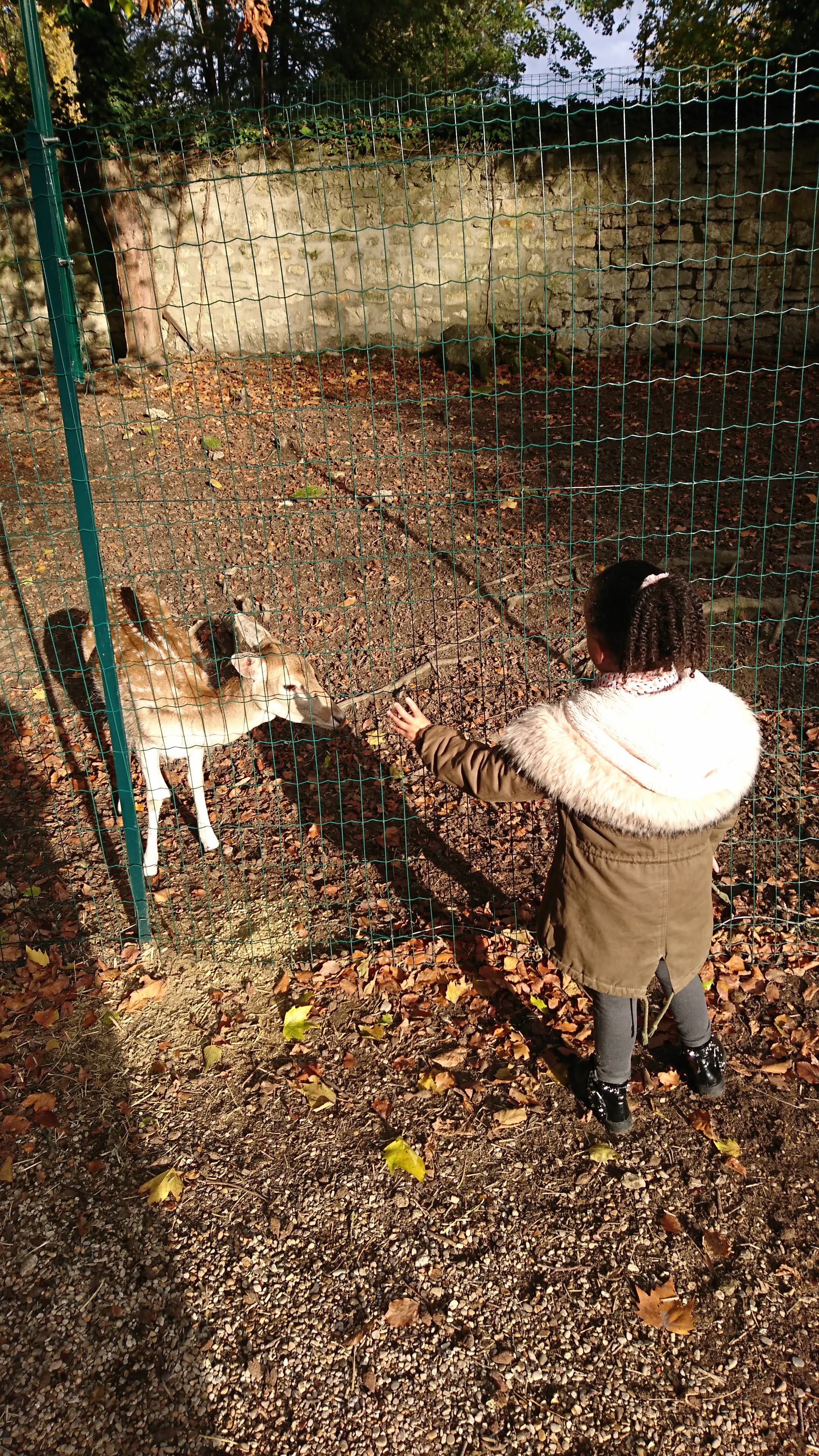 Photo n° 9 de l'avis de Catherine.e fait le 22/10/2020 à 16:32