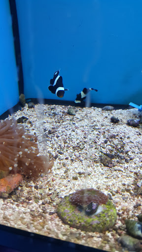 Pet Supply Store «Petco Animal Supplies», reviews and photos, 816 W McDermott Dr #308, Allen, TX 75013, USA