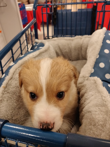 Department Store «Marshalls», reviews and photos, 848 NY-13, Cortland, NY 13045, USA