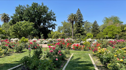 McKinley Rose Garden