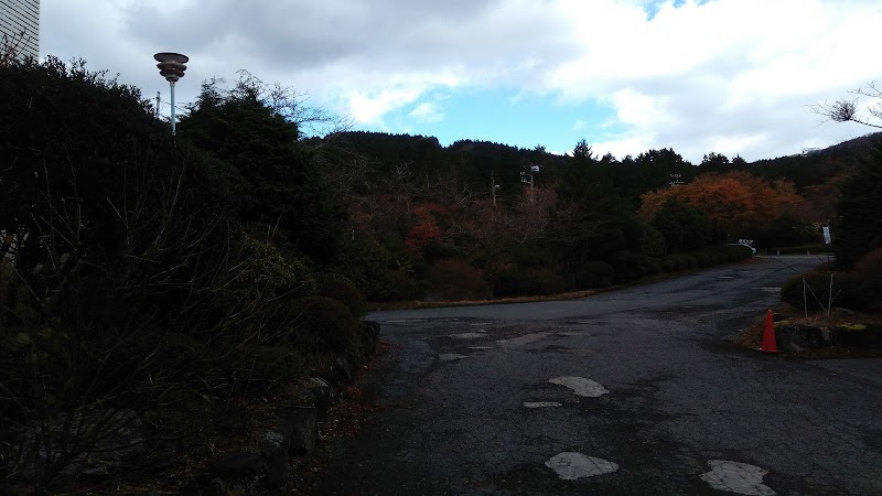 仙石原温泉 ホテル箱根パウエル 神奈川県箱根町仙石原 ホテル 宿泊施設 グルコミ