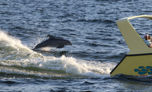 Boat Tour Agency «Sea Screamer», reviews and photos, 3605 Thomas Dr, Panama City, FL 32408, USA