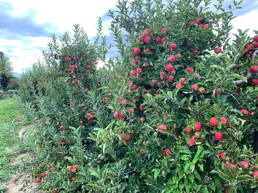Produce Market «Race Farm», reviews and photos, 87 Belcher Rd, Blairstown, NJ 07825, USA