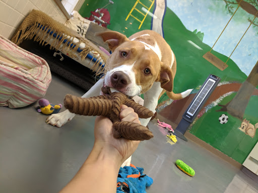 Blackbob Pet Hospital & Cat Clinic image