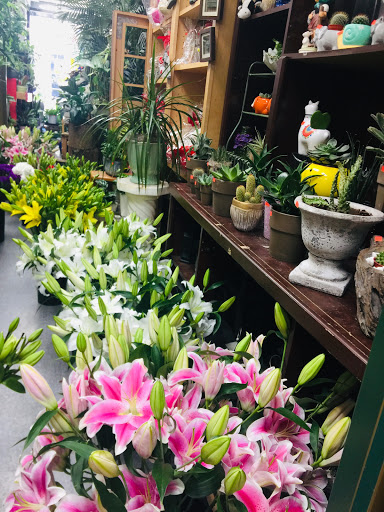 Florist «Rogers Park Florist», reviews and photos, 1415 W Morse Ave, Chicago, IL 60626, USA