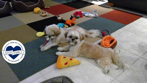 Pet Supply Store «Dog Gone Holistic-SouthShore», reviews and photos, 13131 US-301, Riverview, FL 33578, USA