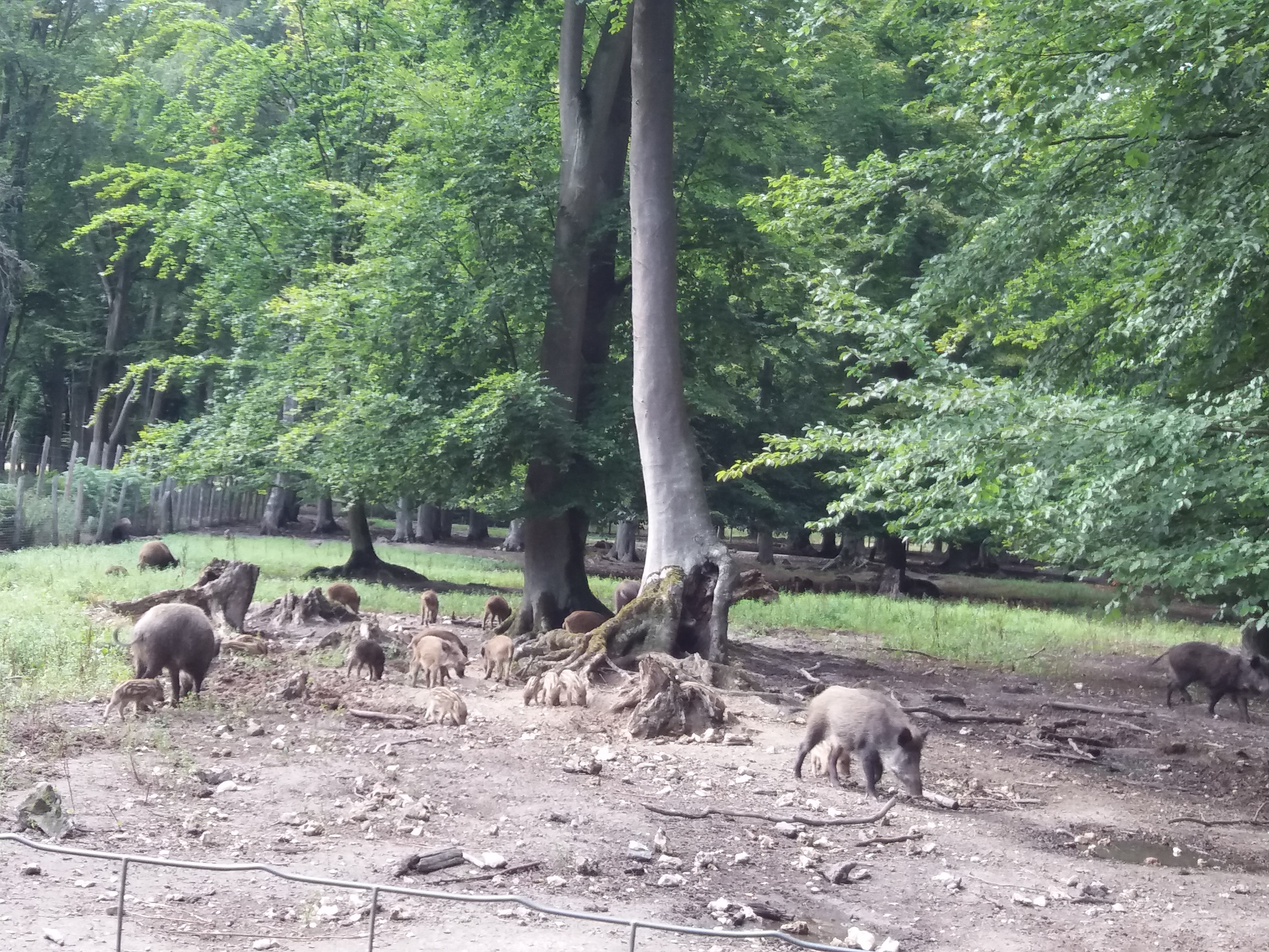 Photo n° 2 de l'avis de Mili.i fait le 18/08/2019 à 17:52