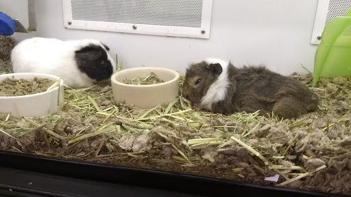 Pet Supply Store «Petco Animal Supplies», reviews and photos, 3731 Gateway Dr, Eau Claire, WI 54701, USA