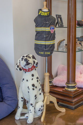 Pet Supply Store «Modern Pet», reviews and photos, 212-77 26th Ave, Bayside, NY 11360, USA