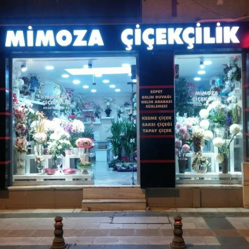 Mimoza Çicekçilik