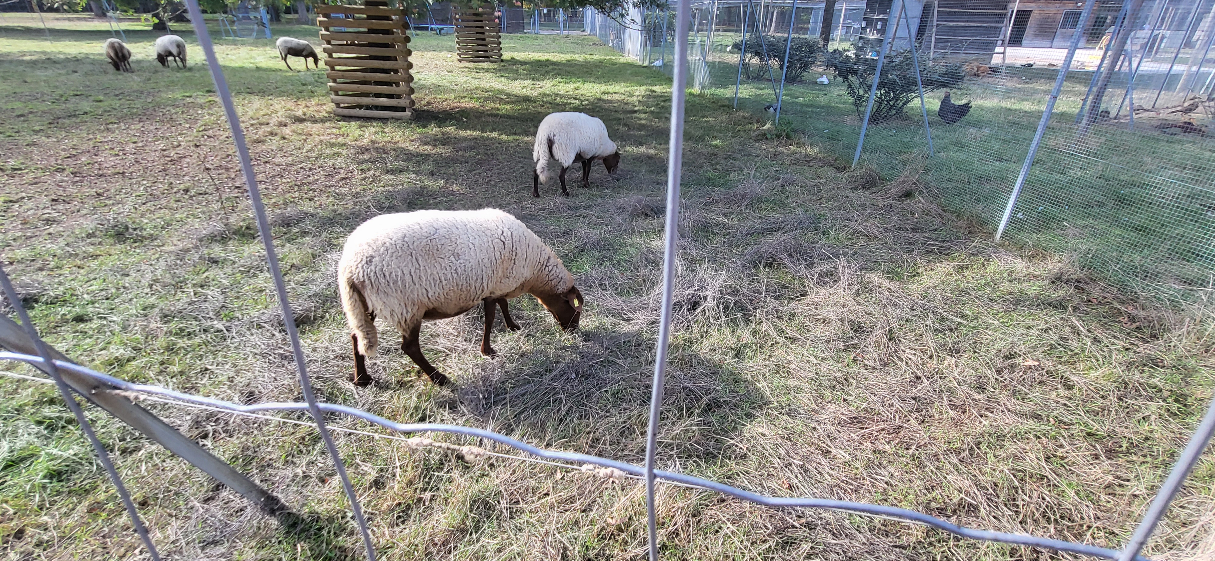 Photo n° 4 de l'avis de kinder.e fait le 29/09/2023 à 14:50