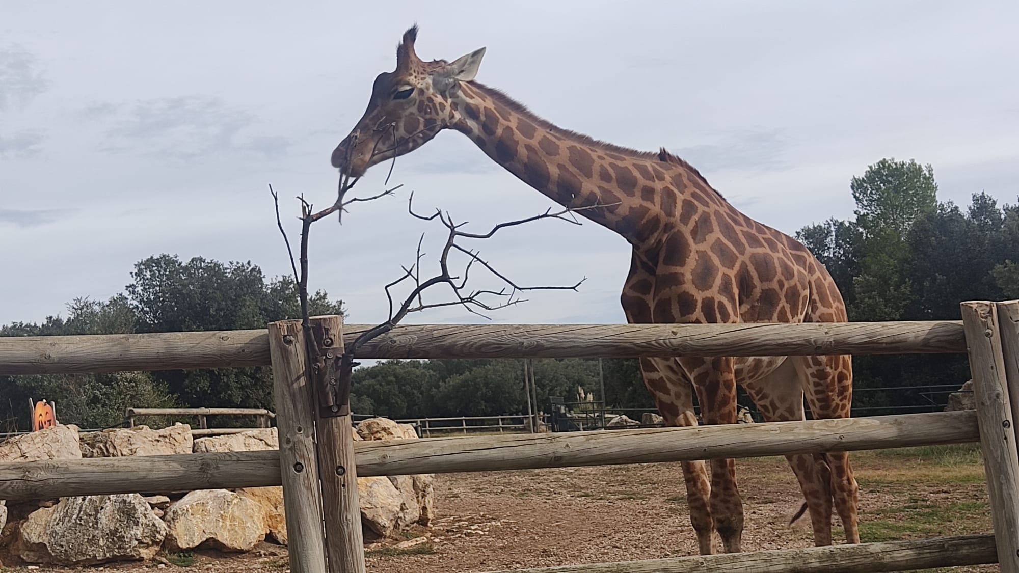 Photo n° 20 de l'avis de MURIEL.O fait le 27/10/2023 à 12:39
