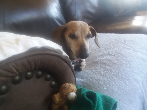 Davenport Veterinary Clinic