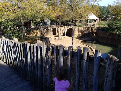 Zoo «Dallas Zoo», reviews and photos, 650 S R.L. Thornton Fwy, Dallas, TX 75203, USA