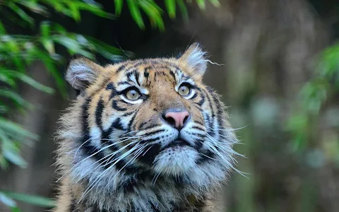 Heidelberg Zoo image