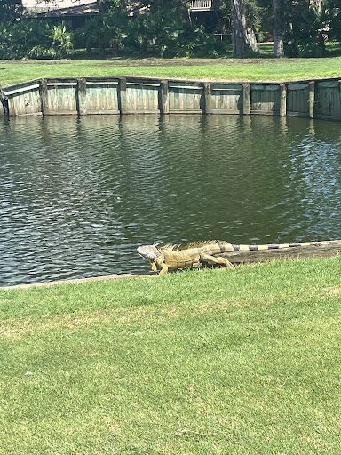 Public Golf Course «The Club At Emerald Hills», reviews and photos, 4100 N Hills Dr, Hollywood, FL 33021, USA