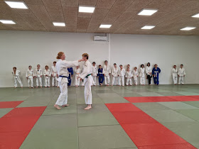 Svendborg Judo Klub