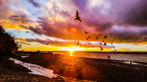 Park «Seahurst Park», reviews and photos, 1600 SW Seahurst Park Rd, Burien, WA 98166, USA