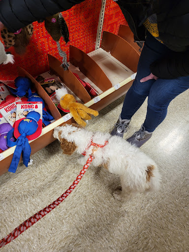Pet Supply Store «PetSmart», reviews and photos, 144 Retail Commons Pkwy, Martinsburg, WV 25403, USA