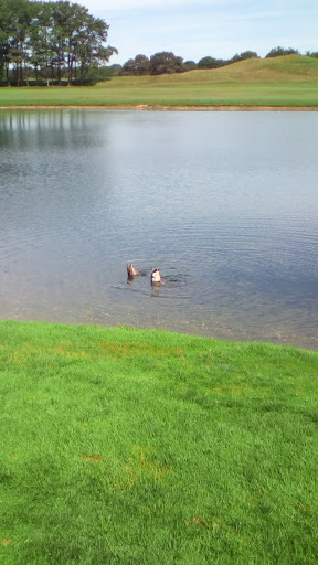 Golf Club «Colonial Springs Golf Club», reviews and photos, 1 Long Island Ave, Farmingdale, NY 11735, USA