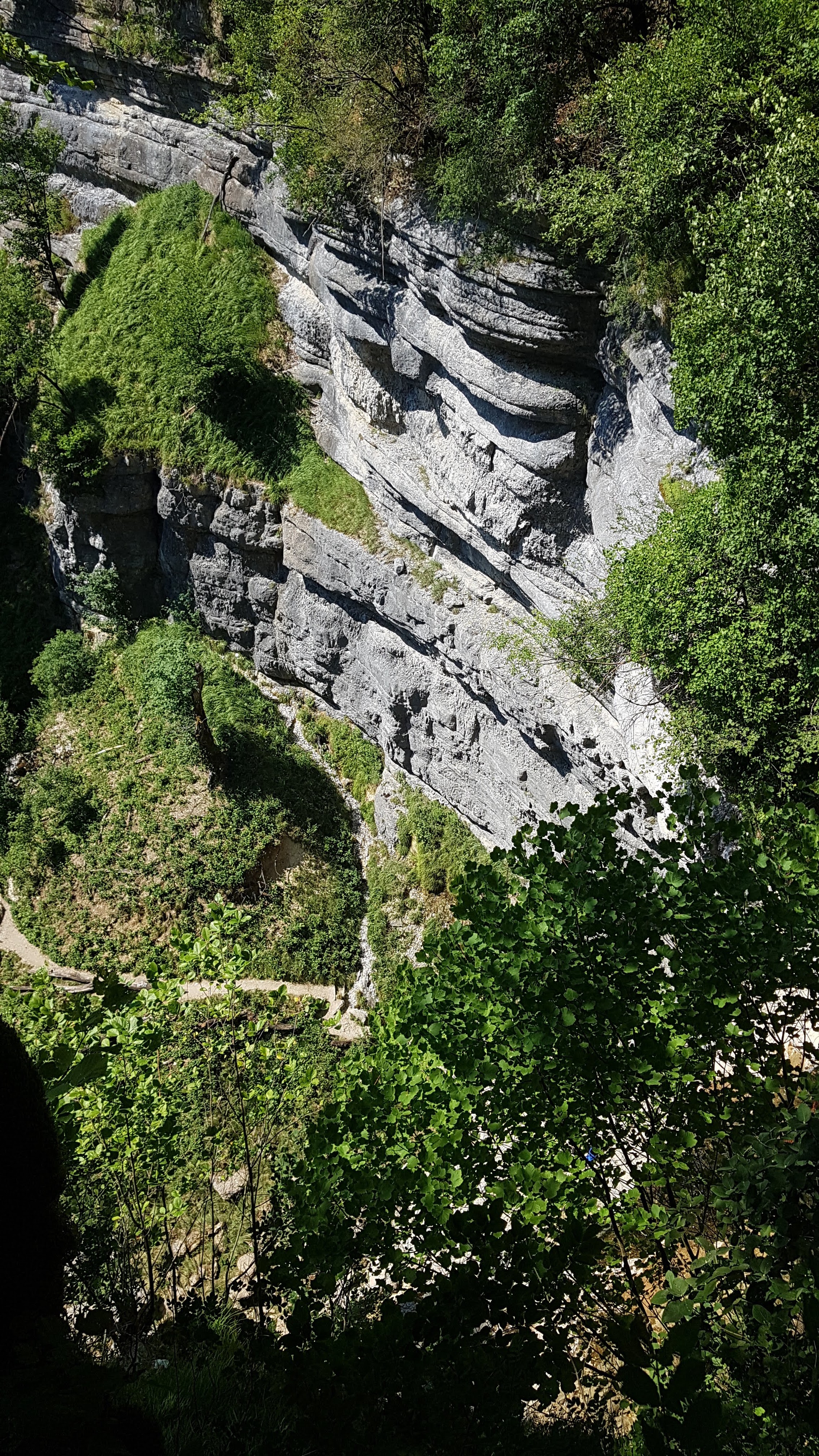 Photo n° 6 de l'avis de [Local•8].y fait le 05/08/2019 à 19:25