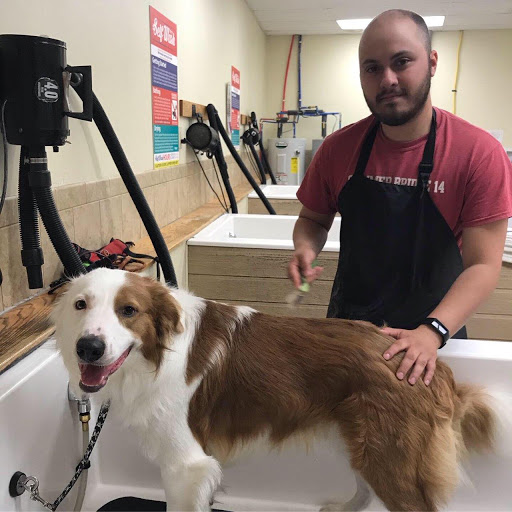 Pet Store «PetSaver Healthy Pet Superstore (Brighton Location)», reviews and photos, 2947 Monroe Ave, Rochester, NY 14618, USA
