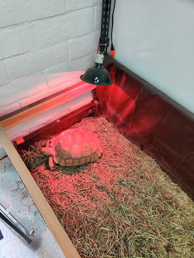 Pet Store «Animal Lovers Pet Shop», reviews and photos, 24028 Vista Montana, Torrance, CA 90505, USA