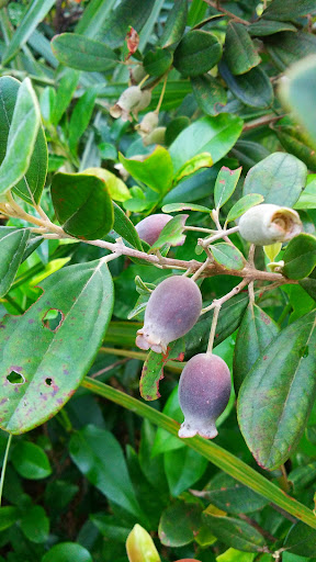 Top 20 cửa hàng làm đẹp Huyện Ba Tơ Quảng Ngãi 2022