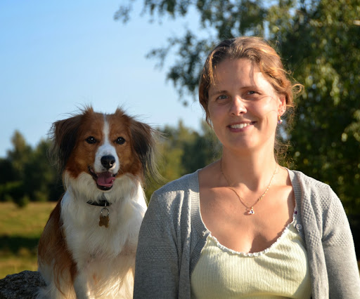 Lynge Dyrlæge in Lynge, Allerød