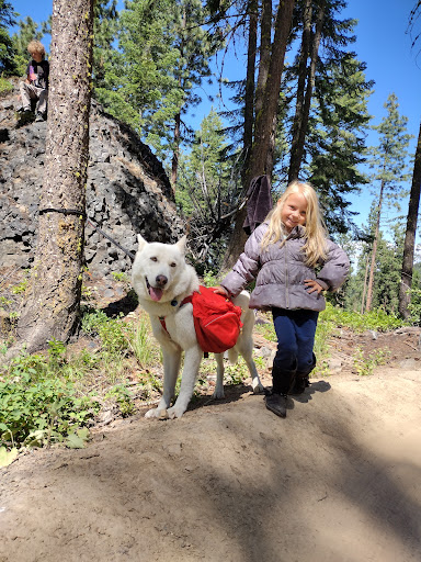 Animal Hospital of Wenatchee image