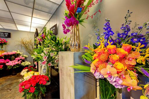 Florist «Dr. Delphinium Designs & Events», reviews and photos, 5806 W Lovers Ln, Dallas, TX 75225, USA