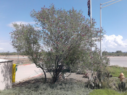 ADOT Commercial Weigh Station