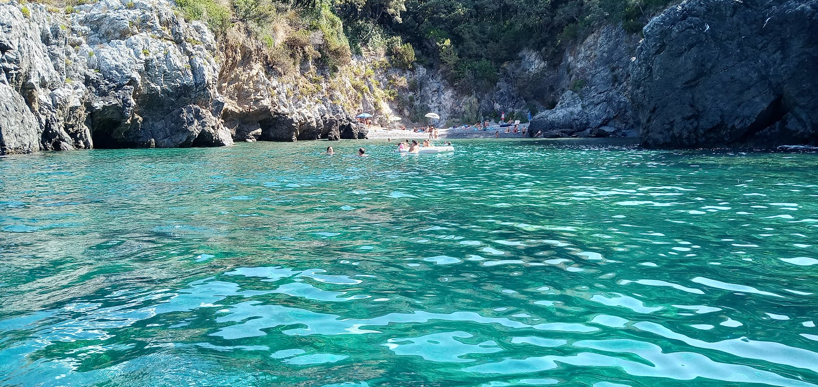 Spiaggia Cala del Citro'in fotoğrafı vahşi alan