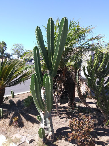 Car Wash «Challenger Car Wash», reviews and photos, 3540 El Cajon Blvd, San Diego, CA 92104, USA