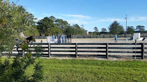 National Forest «Francis Marion National Forest», reviews and photos, 2967 Steed Creek Rd, Huger, SC 29450, USA