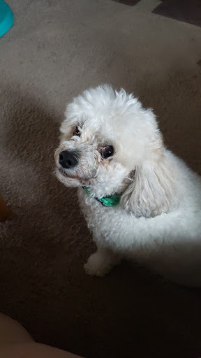 Pet Supply Store «Chow Hound Pet Supplies», reviews and photos, 660 Chicago Dr, Holland, MI 49423, USA