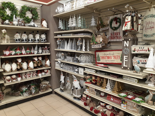 Home Goods Store «Christmas Tree Shops», reviews and photos, 17151 Cole Rd, Hagerstown, MD 21740, USA