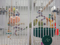 Pet Supplies Plus Rock Hill - Photo 5 - Car repair in Rock Hill, SC, Rock Hill
