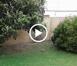 Hermanus Self-catering Holiday Home photo