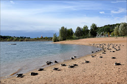 Foto di Strandbad Enderndorf con molto pulita livello di pulizia