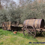 Photo n°1 de l'avis de Amelio.a fait le 05/04/2023 à 18:32 sur le  Ristorante Hotel Mephitis di Vazza Francesco à Tito