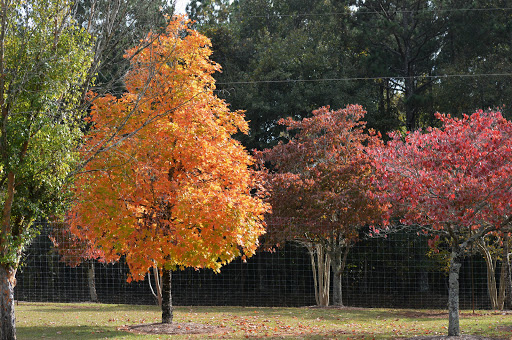 Non-Profit Organization «Dauset Trails Nature Center», reviews and photos, 360 Mt Vernon Church Rd, Jackson, GA 30233, USA
