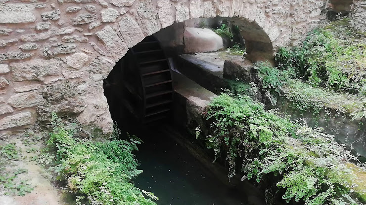 Vidéos hôtels Alberg Banyoles 17820 Banyoles