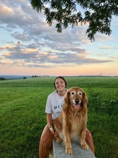 Glastonbury Animal Hospital of Marlborough image